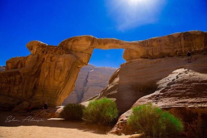 Rum Titanic Camp Wadi Rum Eksteriør billede