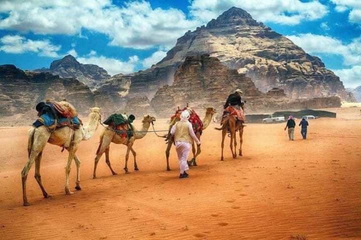 Rum Titanic Camp Wadi Rum Eksteriør billede